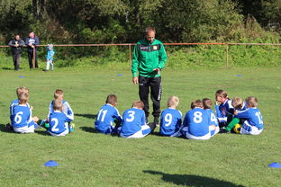 爱游戏娱乐网址-意甲攻守大比拼：速度与战术的融合！，意甲战术强在哪里